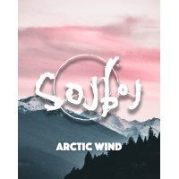 Arctic Wind