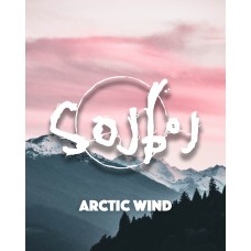 Arctic Wind